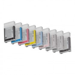 Cartouche EPSON STYLUS PRO7800/7880/9800/9880 gris clair T603900