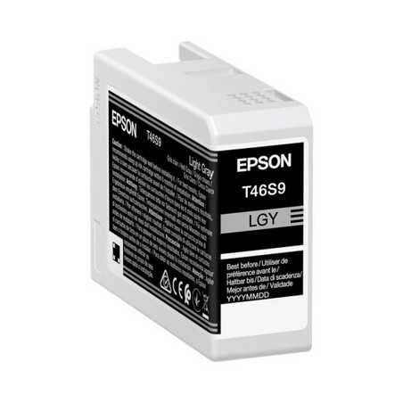 Epson T46S9 - Cartouche marque Epson C13T46S900 - Light Gris