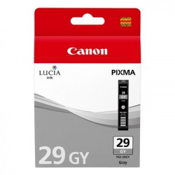 29 - Cart. Encre Marque Canon 4871B001 - Gris