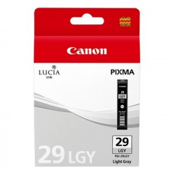 29 - Cart. Encre Marque Canon 4872B001 - Gris clair