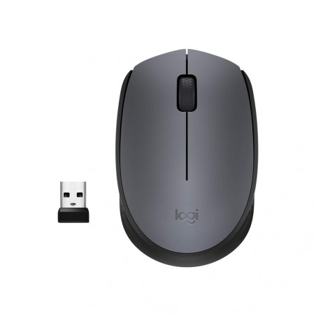 Logitech M170